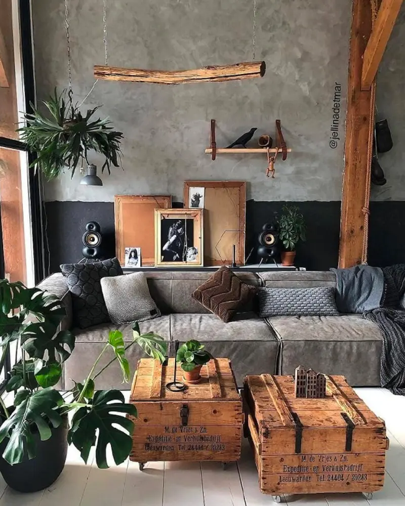 Concrete wall, gray sofa with pillows, two vintage wooden trunks as coffee tables and monstera