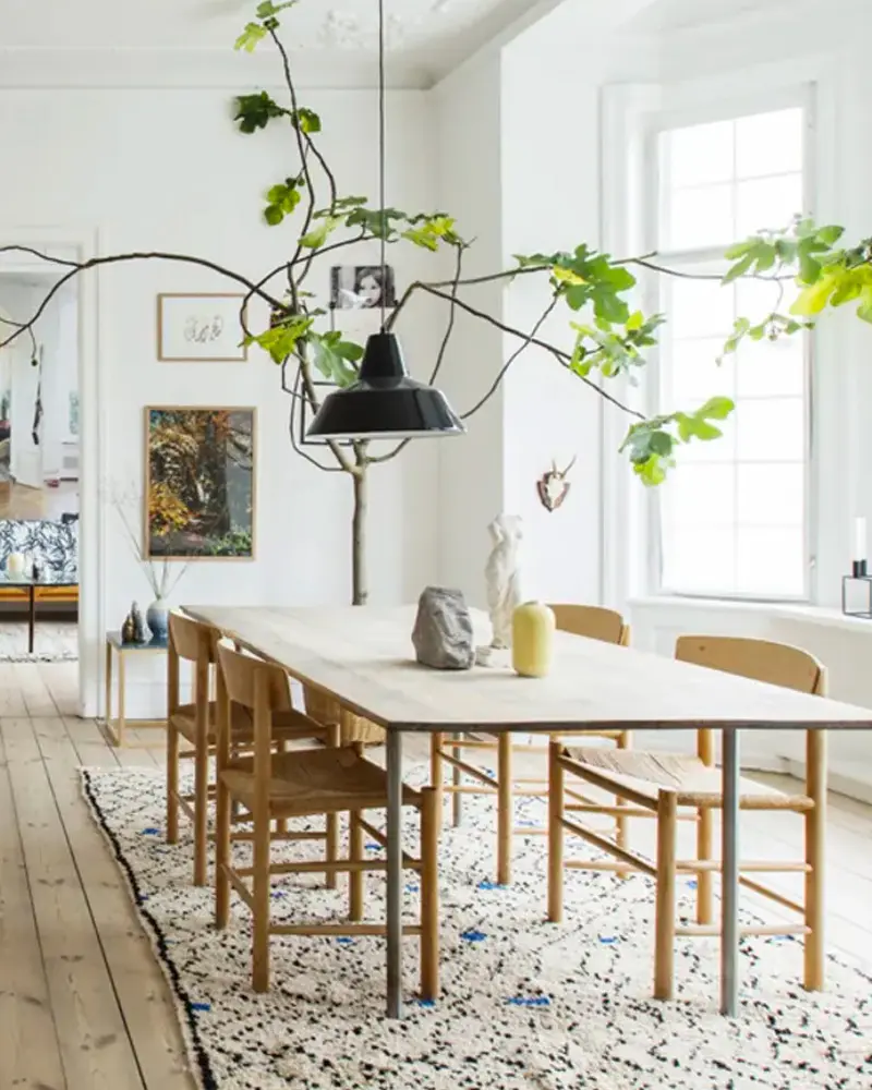 Long wood dining table with wood chairs, potted tree branches and a Berber rug in a white room