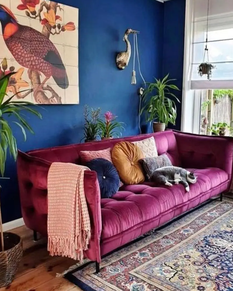 Magenta velvet sofa against a royal blue wall with a Persian rug